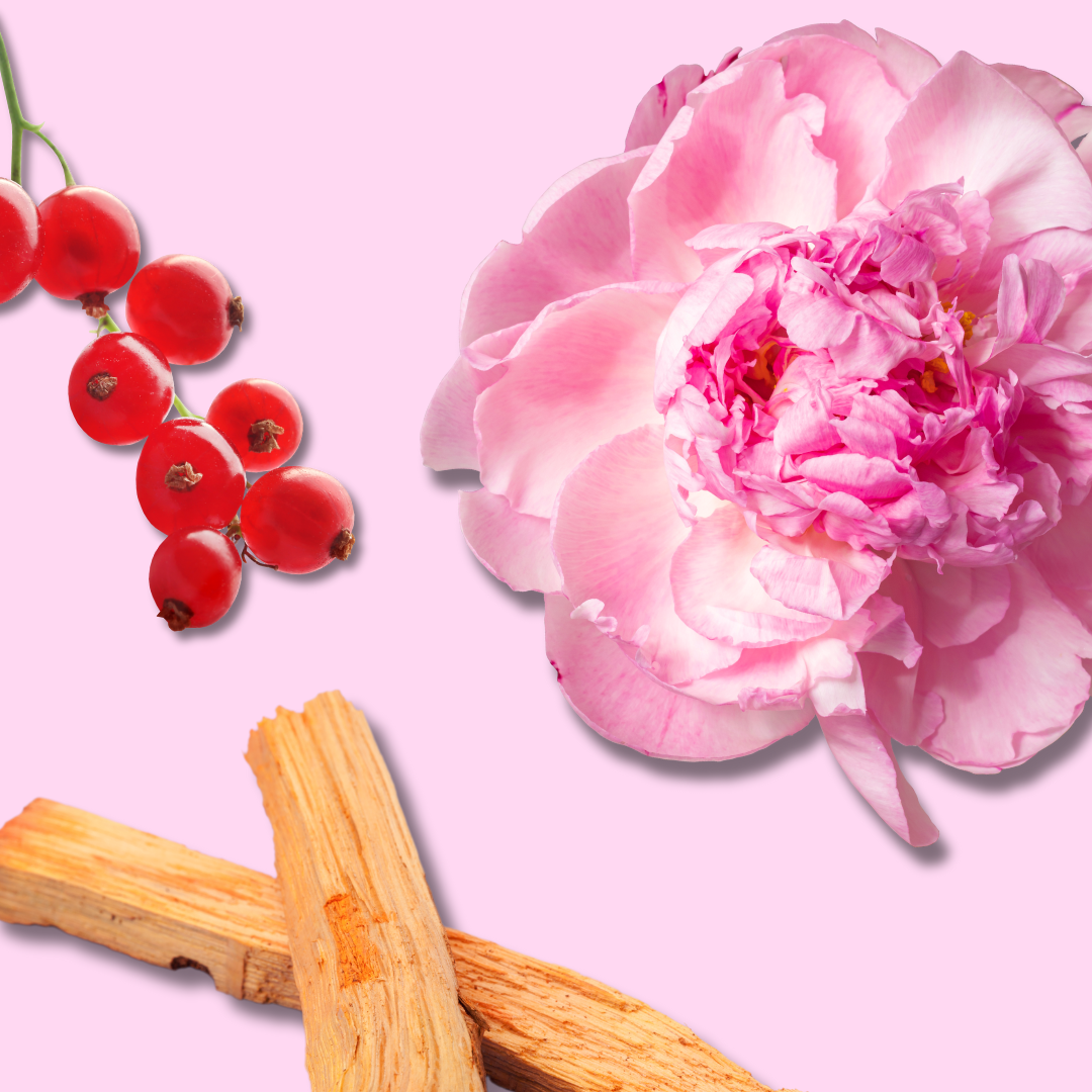 Dilruba - Body Mist 75ml - Jugnu Fragrances