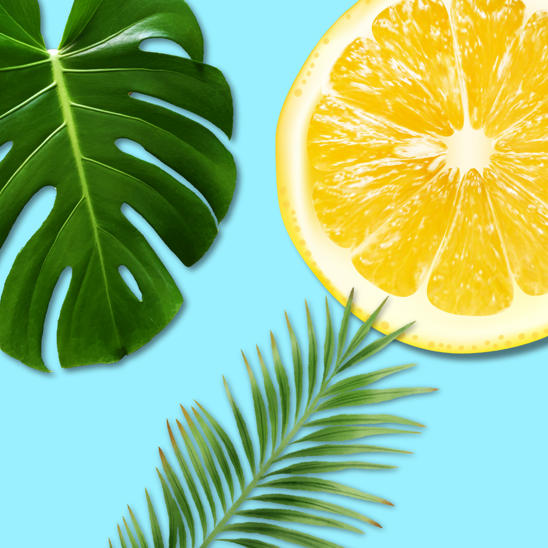 Saahil - Body Mist 75ml - Jugnu Fragrances