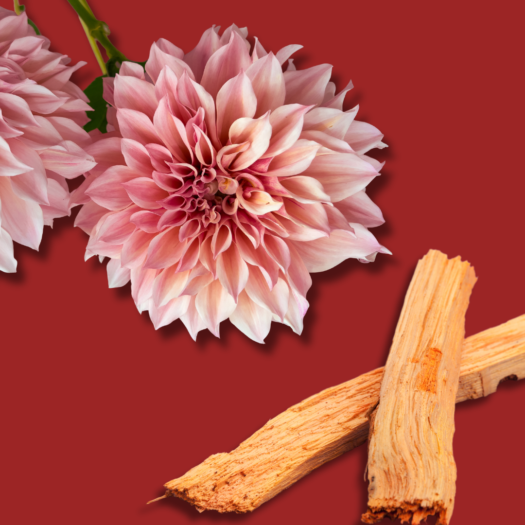 Shokh - Body Mist 75ml - Jugnu Fragrances